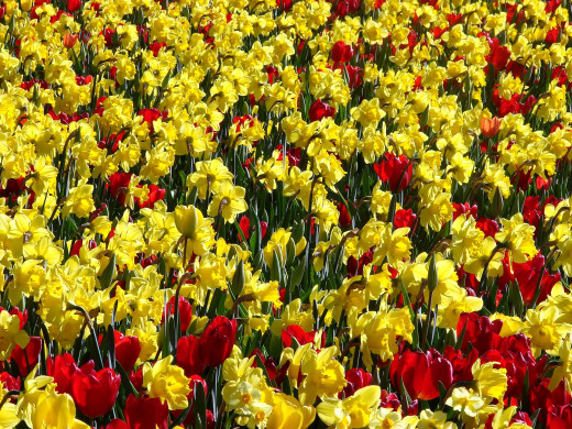 635991 (a): :1920x1440